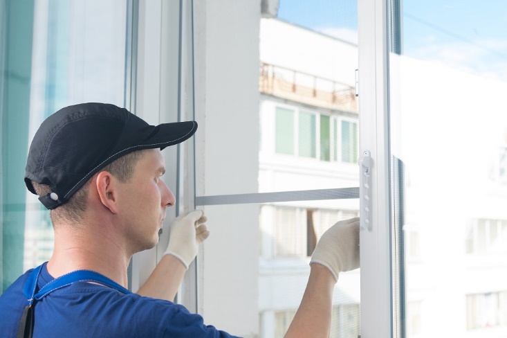 DIY vs. Professional Business Window Screen Repair in Carlsbad: What’s Better?