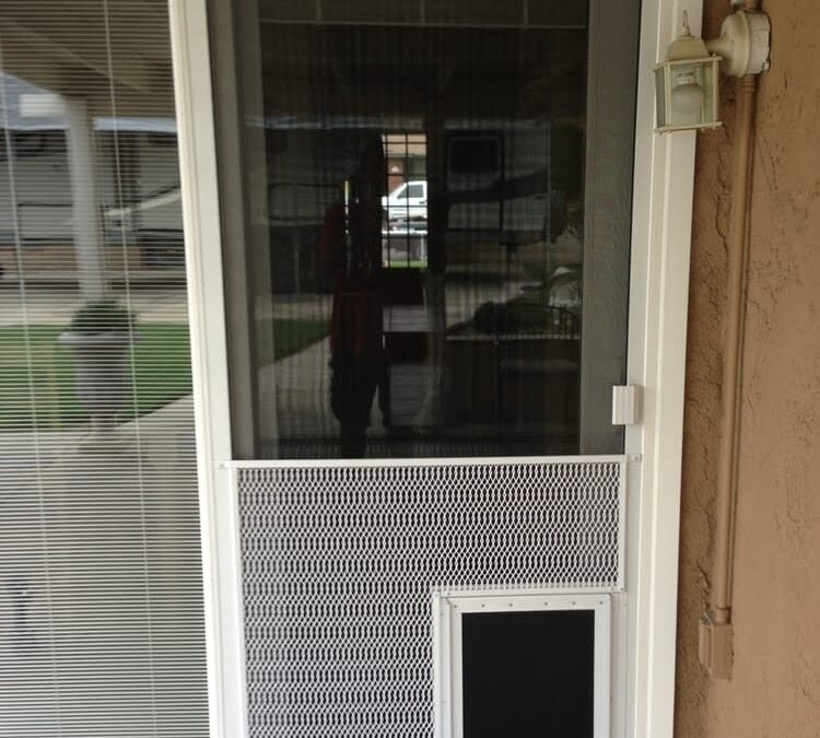 How Pet Screen Repair Enhances Ventilation While Keeping Pets Safe in Ramona