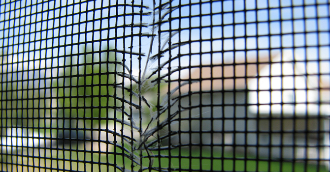 Benefits of Professional Window Screen Repair in Carmel Valley