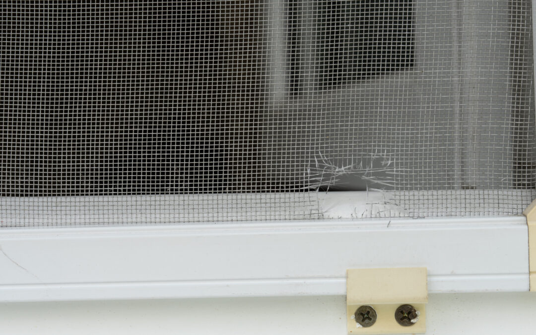 Common Problems That Require Window Screen Repair in Lemon Grove