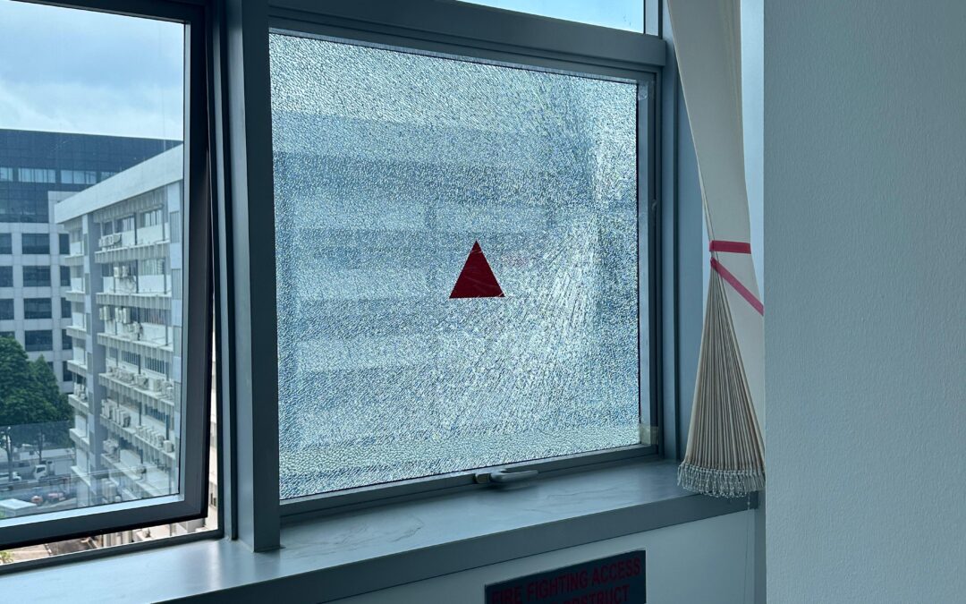 Business Window Screen Repair Fallbrook