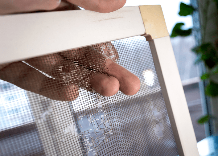 Window Screen Repair Lakeside