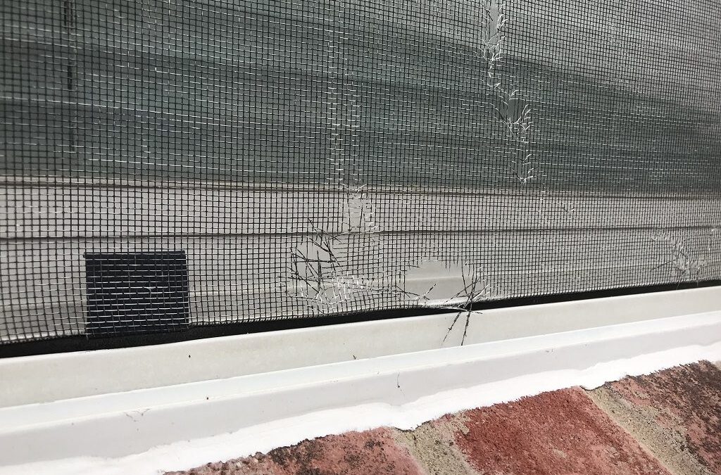 Window Screen Repair Rancho Santa Fe