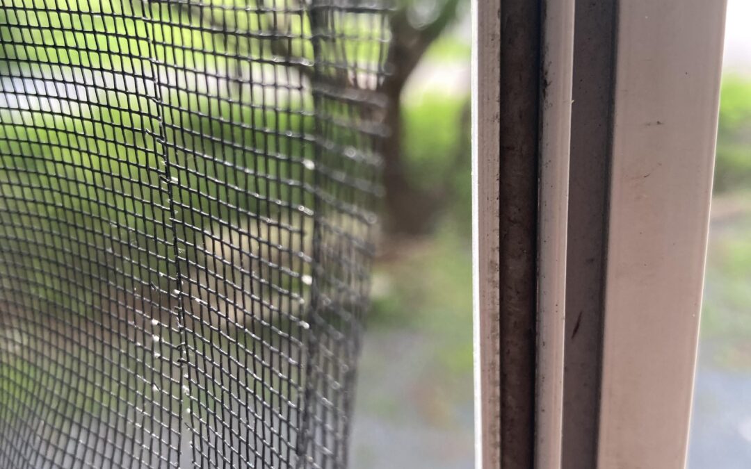 Window Screen Repair San Diego Country Estates