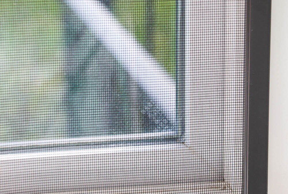 Window Screen Repair La Mesa